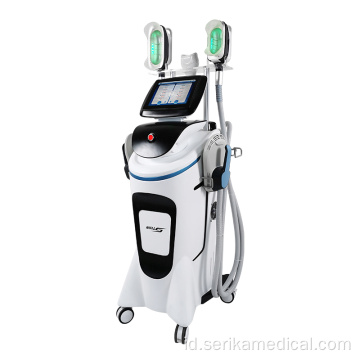 2 in 1 Fat Freezing EMS Slimming Machine